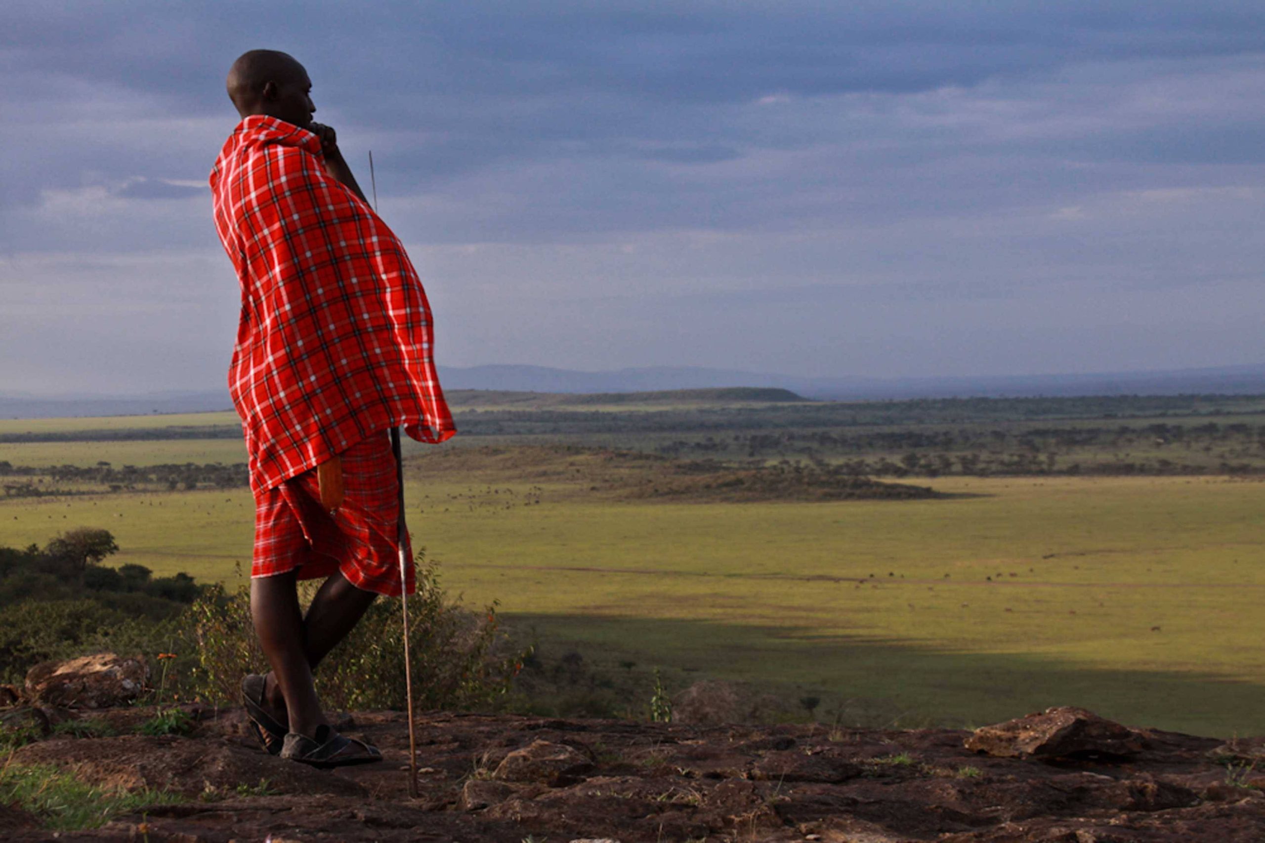 Masaai Mara warrior overlooking the plains near East Africa's Masaai Mara National Park