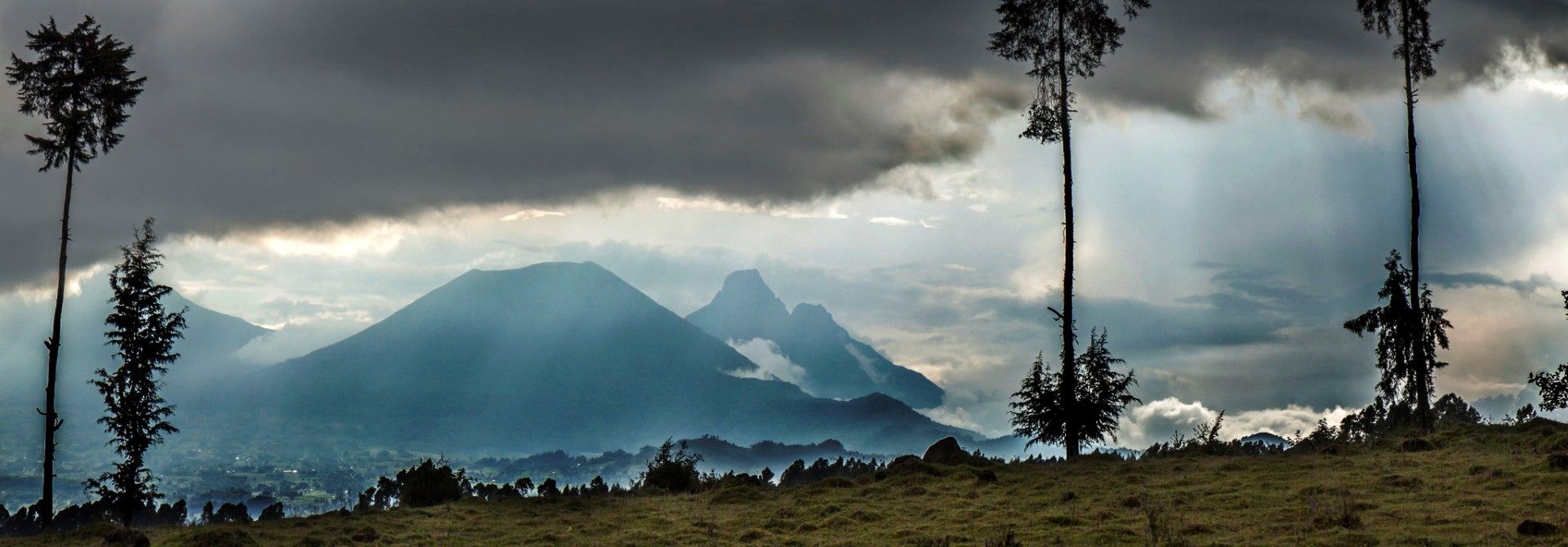 Panorama of the Volcanoes National Park in Rwanda, East Africa